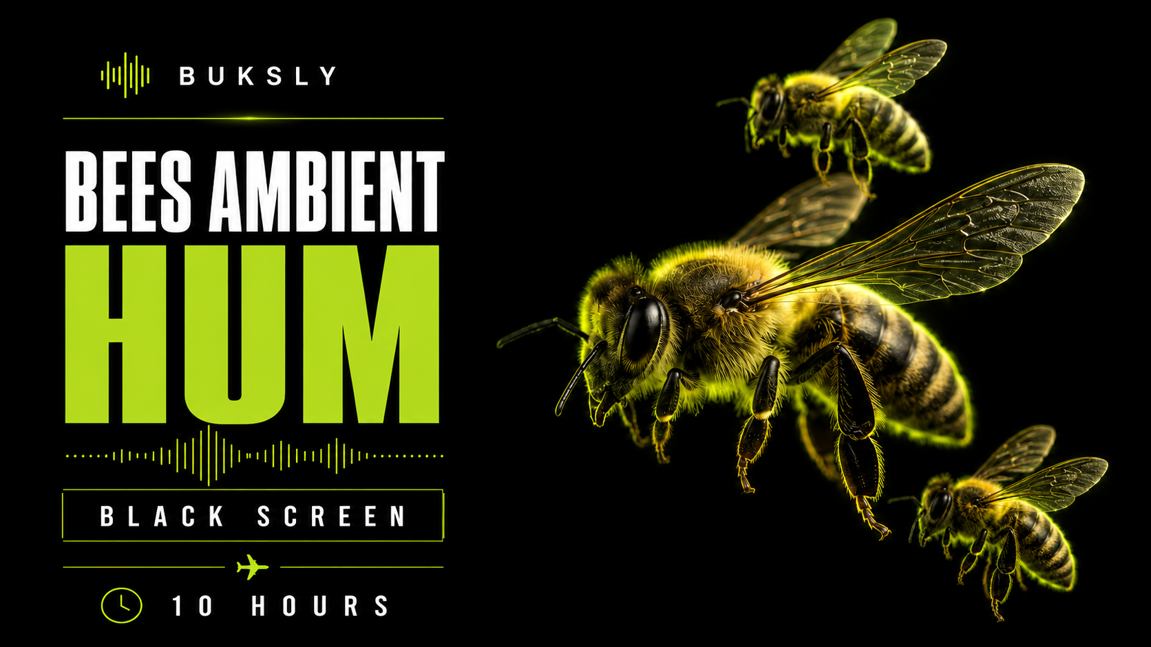 Bees Ambient Hum Black Screen 10 Hours — Episode 1 cover image