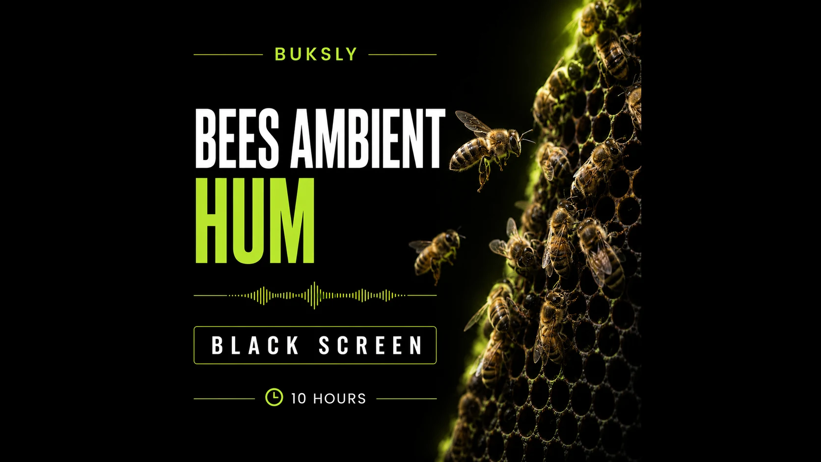 Bees Ambient Hum Black Screen 10 Hours — Episode 3 cover image