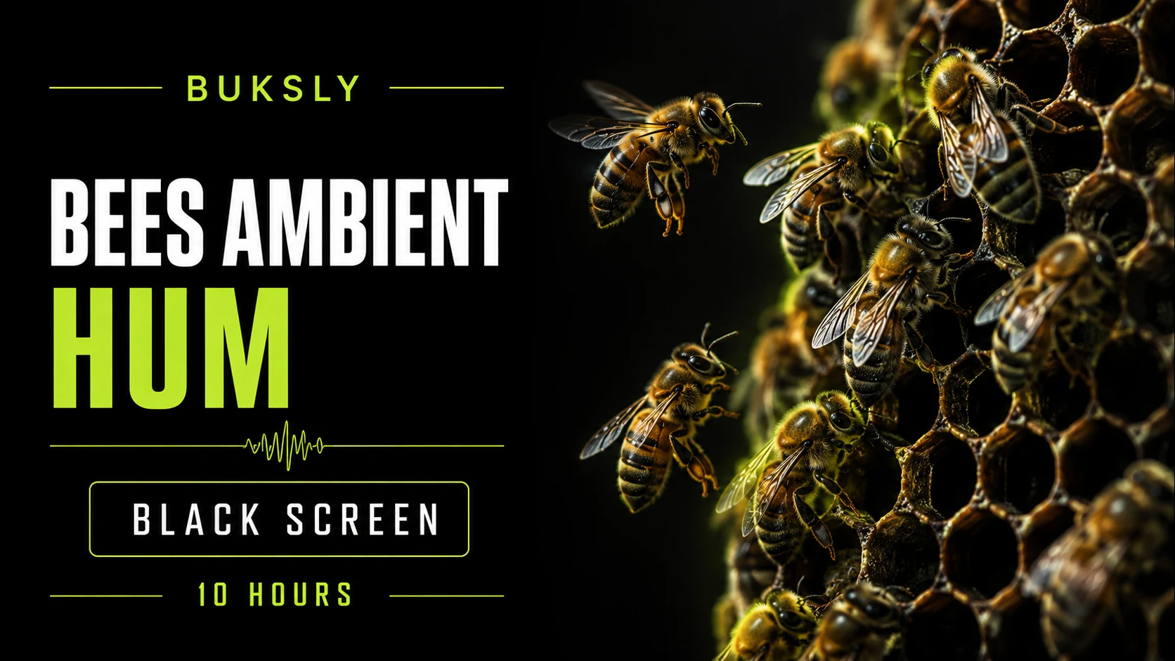 Bees Ambient Hum Black Screen 10 Hours — Episode 4 cover image