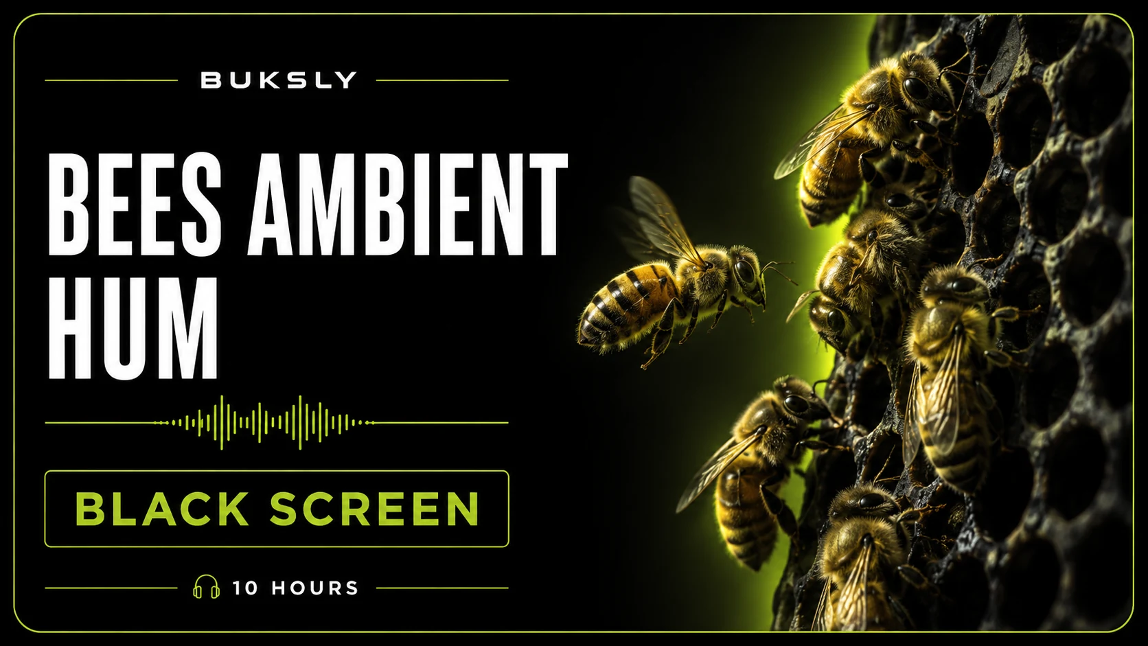 Bees Ambient Hum Black Screen 10 Hours — Episode 5 cover image