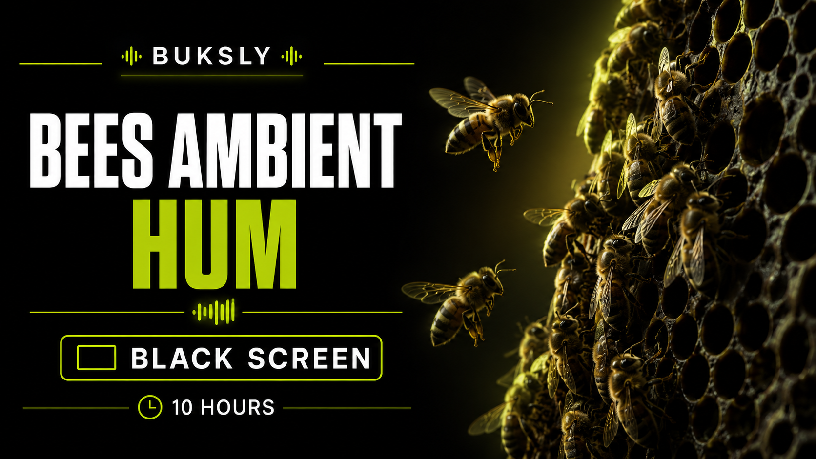 Bees Ambient Hum Black Screen 10 Hours — Episode 6 cover image